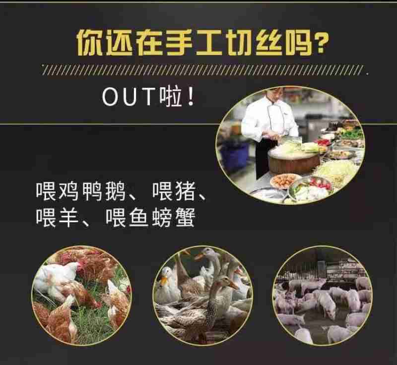 杨明发和黄永波核对村级发展规划。 洪玉杰 摄