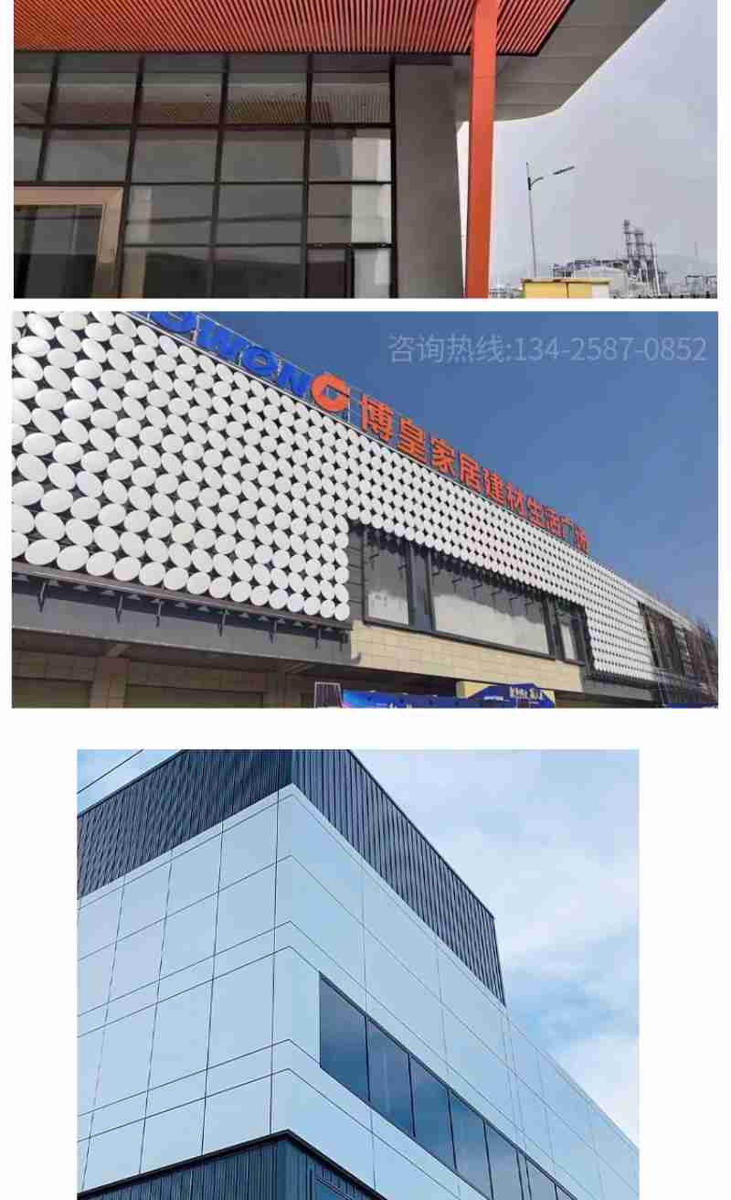 王柳懿在国家自然基金青年学生基础研究项目答辩会现场 本文图片均为 受访者 供图